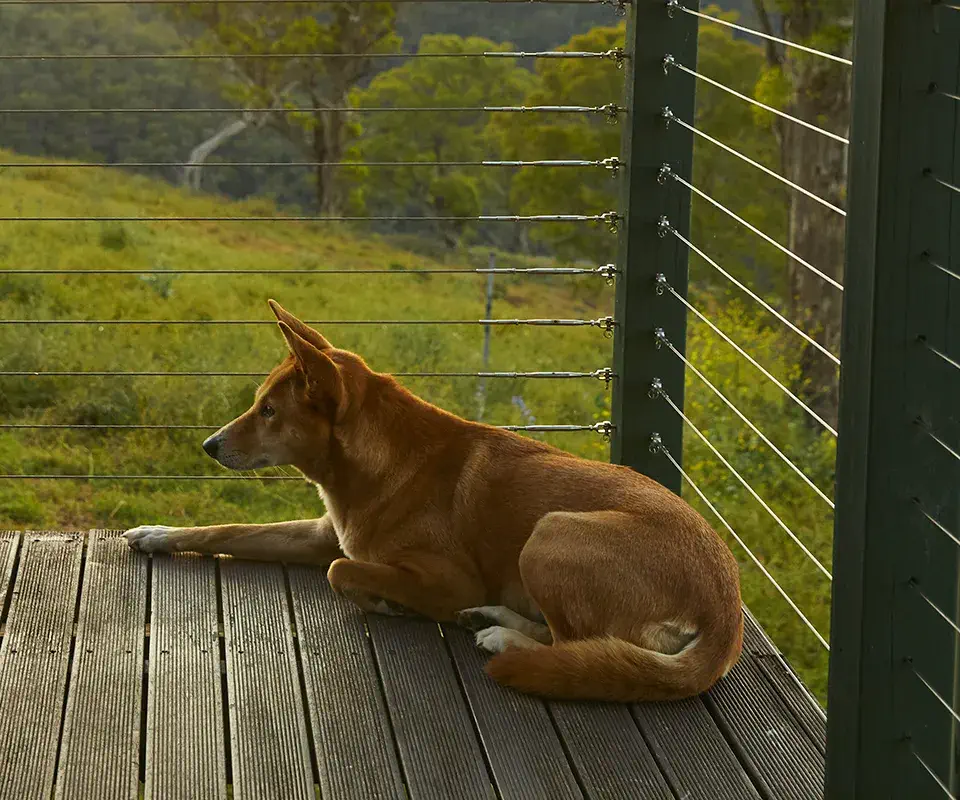 A Holiday for You and Your Best Mate
