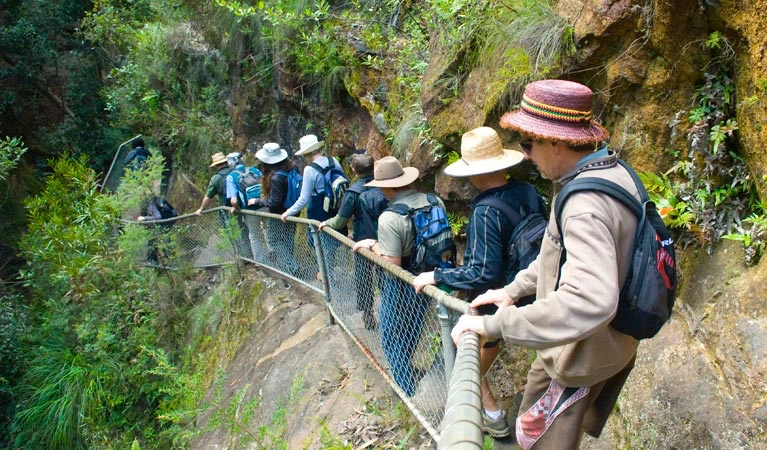 Blue Mountains Grand Canyon Walk