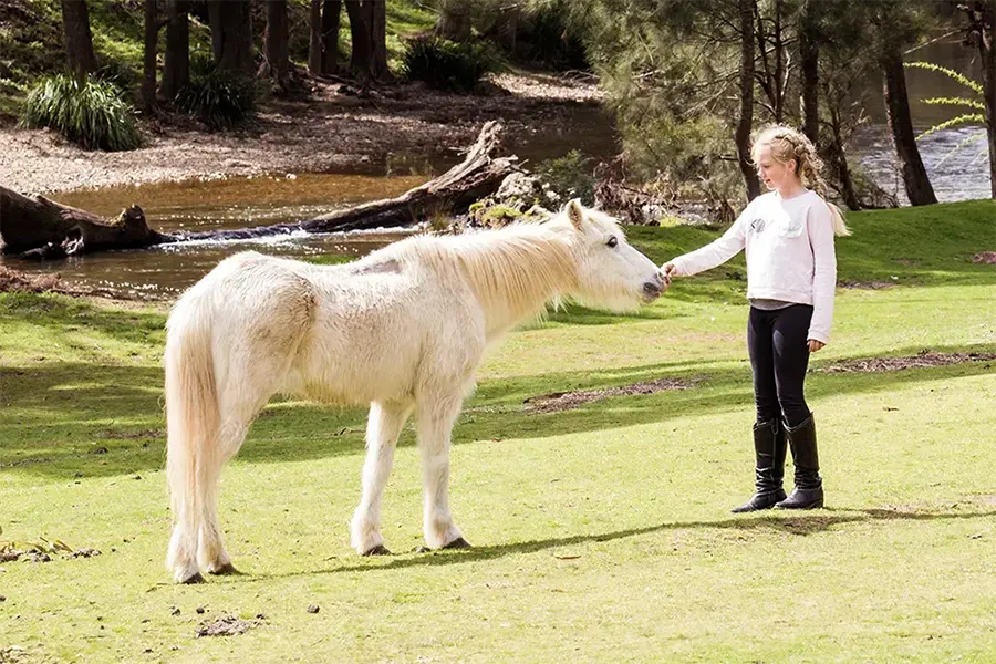 Horseriding For Kids
